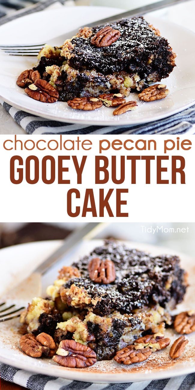 Chocolate Pecan Pie Gooey Butter Cake photo collage