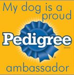 Pedigree Ambassdaor