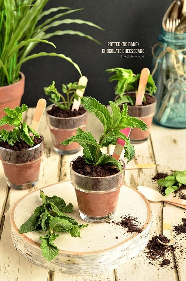 Potted Chocolate Cheesecake