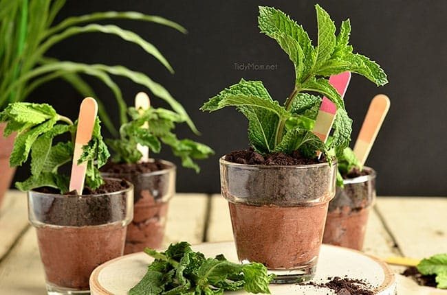 Flower Pot Chocolate Cheesecake {no bake} perfect for Mother's Day, bridal shower or spring/summer soiree. recipe at cetcu.com