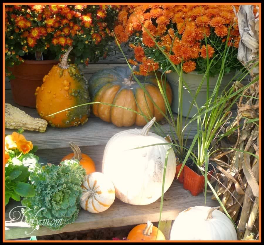 mygourds