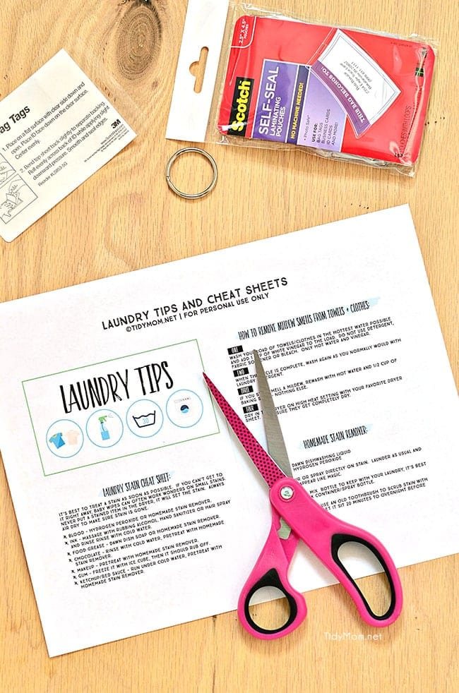 Free Printable Laundry Tips Flip Book at cetcu.com