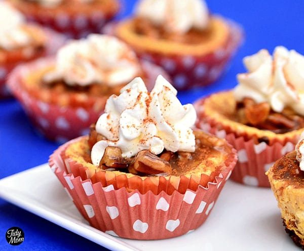 Pumpkin Cheesecake with Caramel Pecan Topping: Babycakes Style