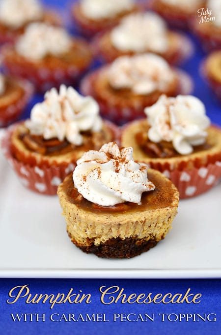 Pumpkin cheesecake titled