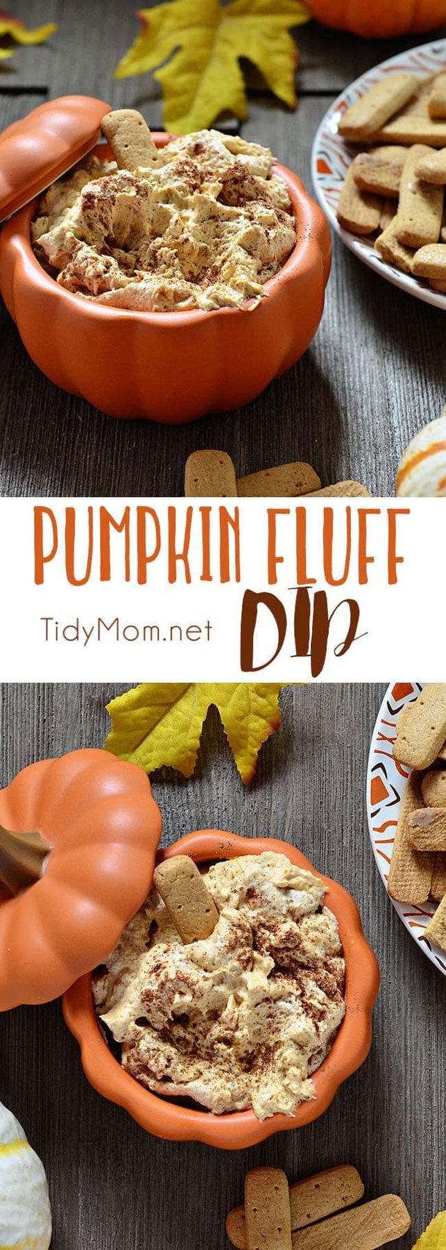 Pumpkin Fluff is a creamy, fluffy favorite fall treat. Serve with graham crackers or stuff into a cannoli shell or just dig in with a spoon. It’s full of fiber, and if you use sugar free/fat free pudding mix, Cool Whip Lite and 1% milk it’s a low cal treat you don’t have to feel guilty eating! Pumpkin Fluff Dip Recipe and video at cetcu.com