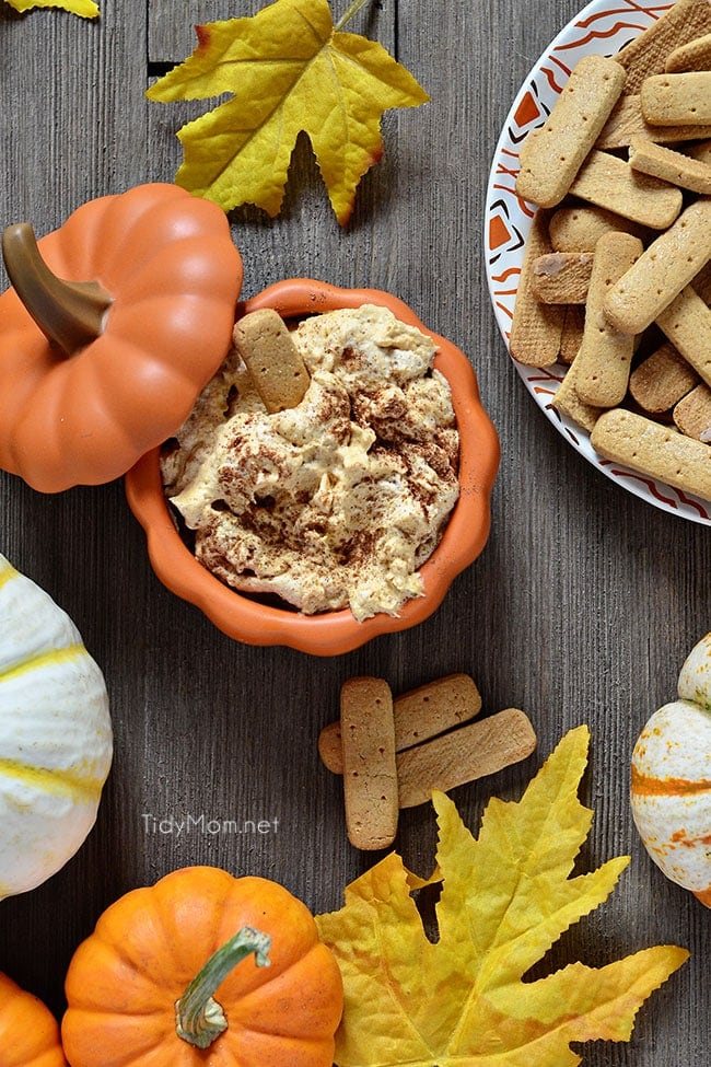 Pumpkin Fluff is a creamy, fluffy favorite fall treat. Serve with graham crackers or stuff into a cannoli shell or just dig in with a spoon. It’s full of fiber, and if you use sugar free/fat free pudding mix, Cool Whip Lite and 1% milk it’s a low cal treat you don’t have to feel guilty eating! Pumpkin Fluff Dip Recipe and video at cetcu.com