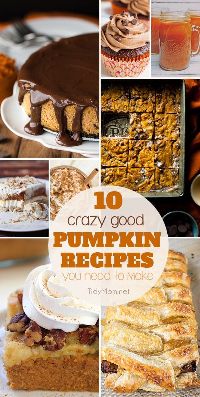 Collection of Pumpkin Recipes You Need to Make