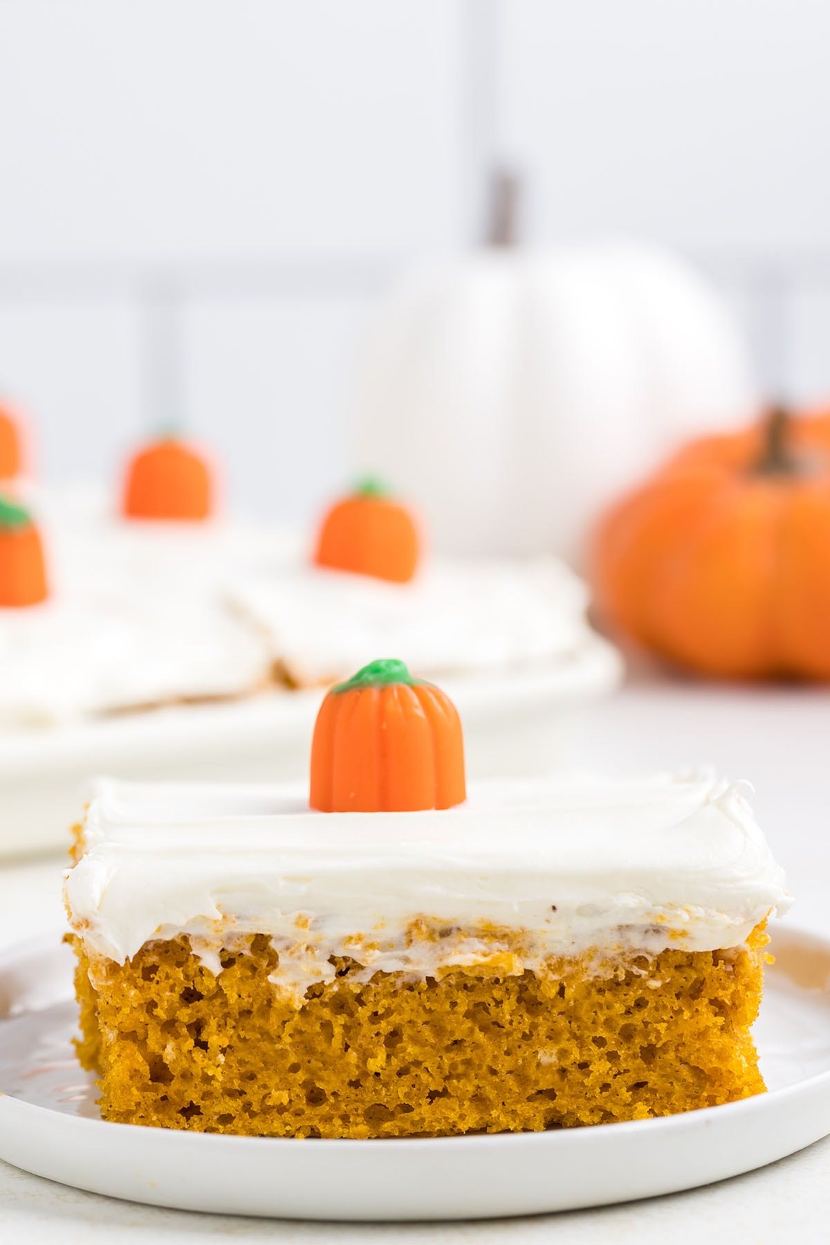 Pumpkin Sheet Cake With Easy Cream Cheese Frosting