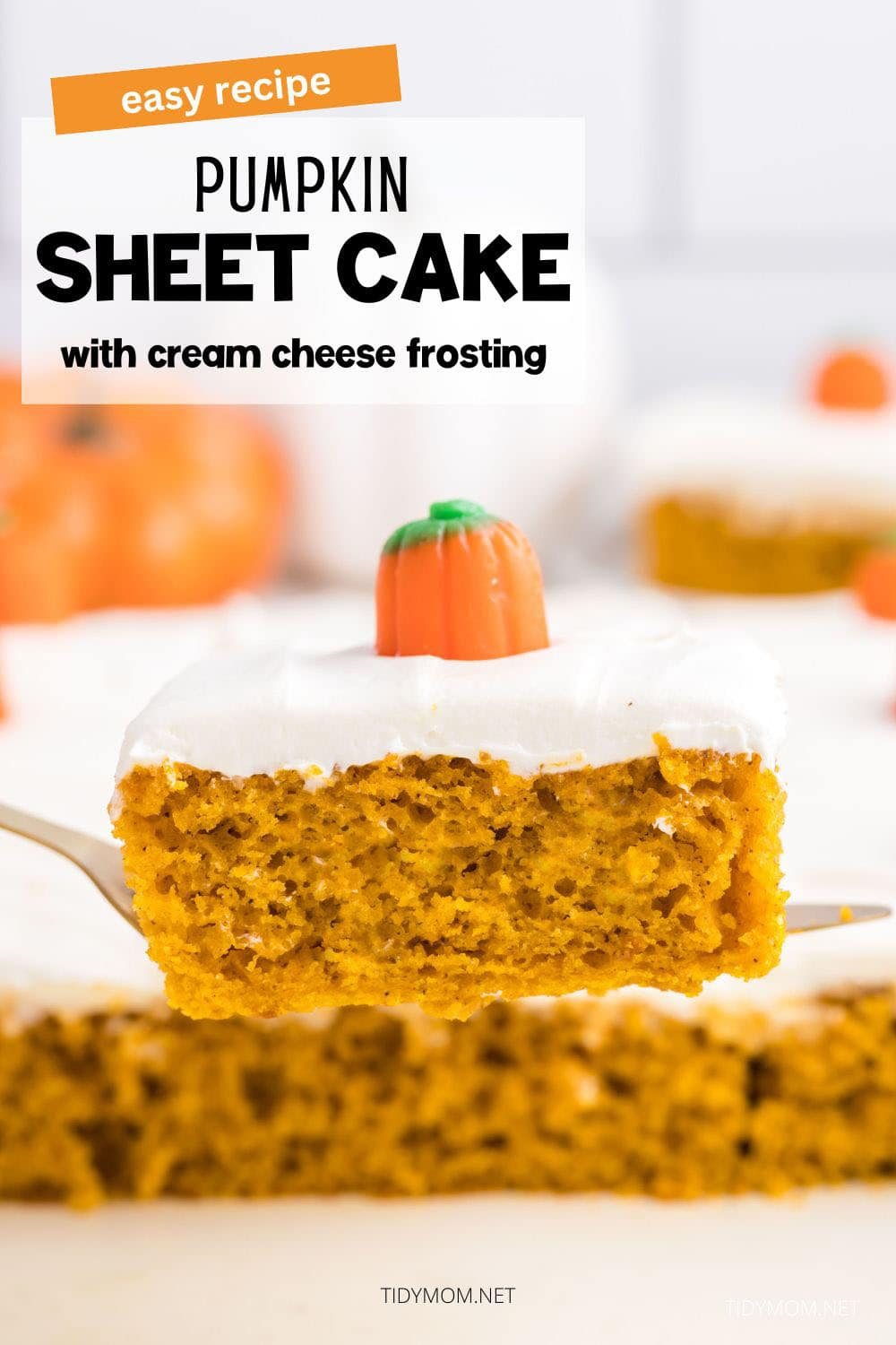 sheet cake with a slice on a cake server