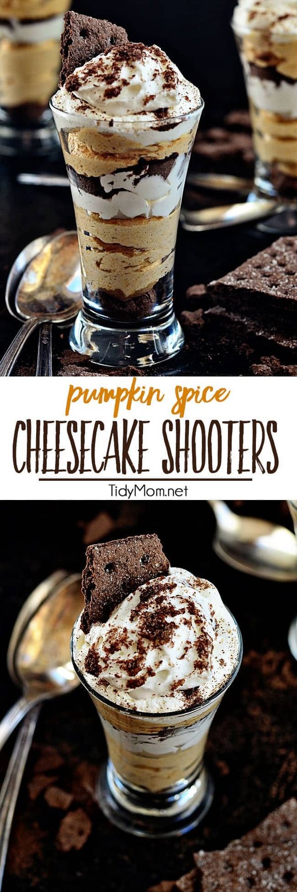 A shot of no-bake Pumpkin Spice Cheesecake with a chocolate graham cracker crust and whipped topping for the perfect fall dessert. Get the recipe at cetcu.com