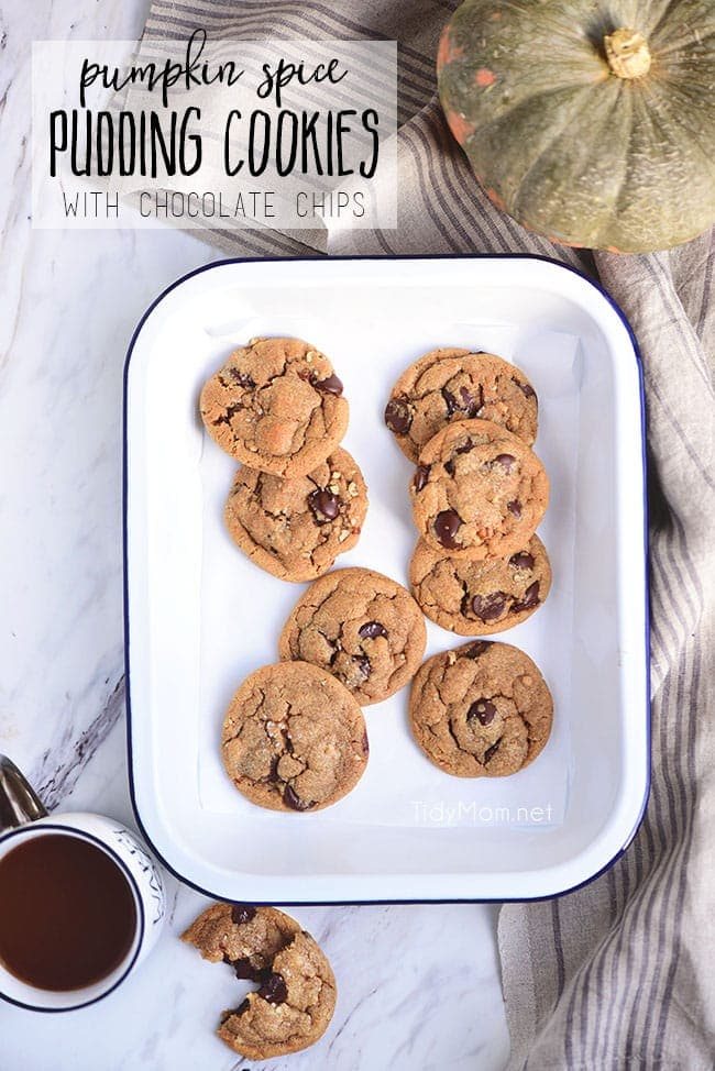 Pumpkin Spice Cookies with Chocolate Chips