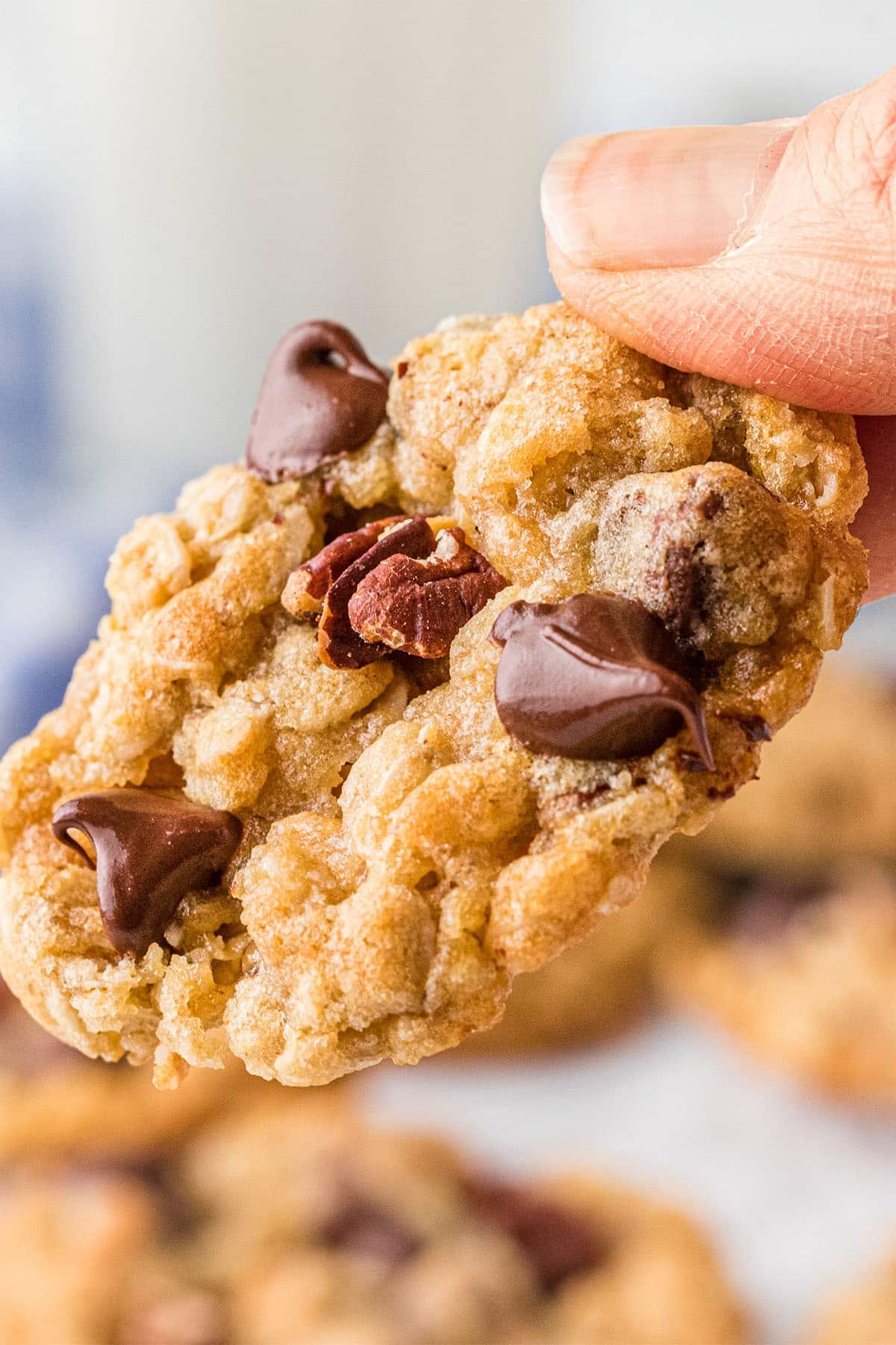 hand holding a fresh baked ranger cookie