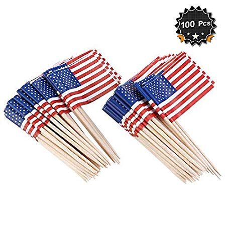 American Flag Picks Flag Toothpicks