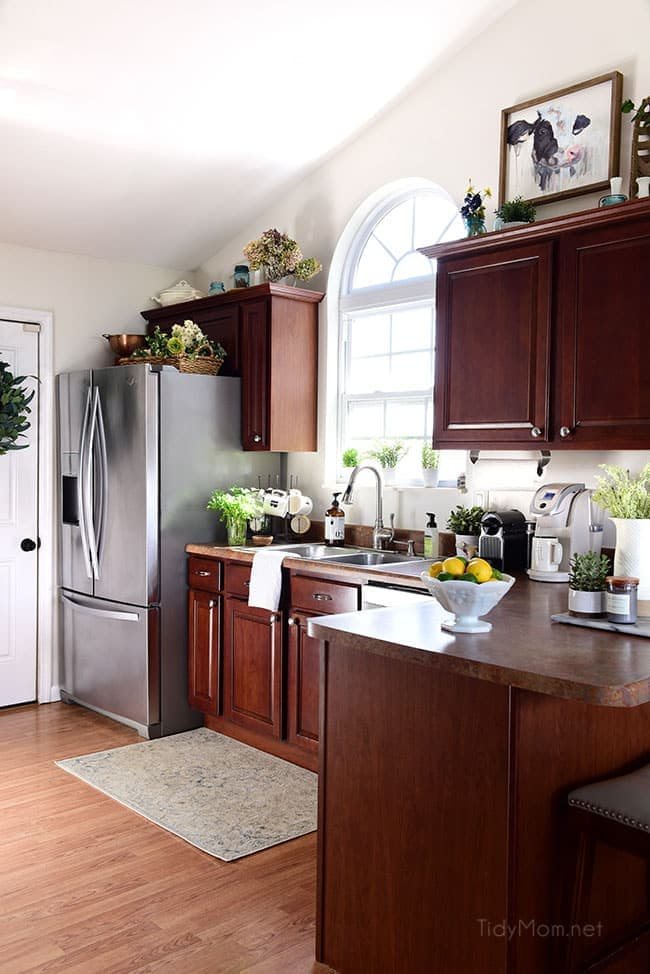 The Insiders Guide To Reducing Bacteria In The Kitchen