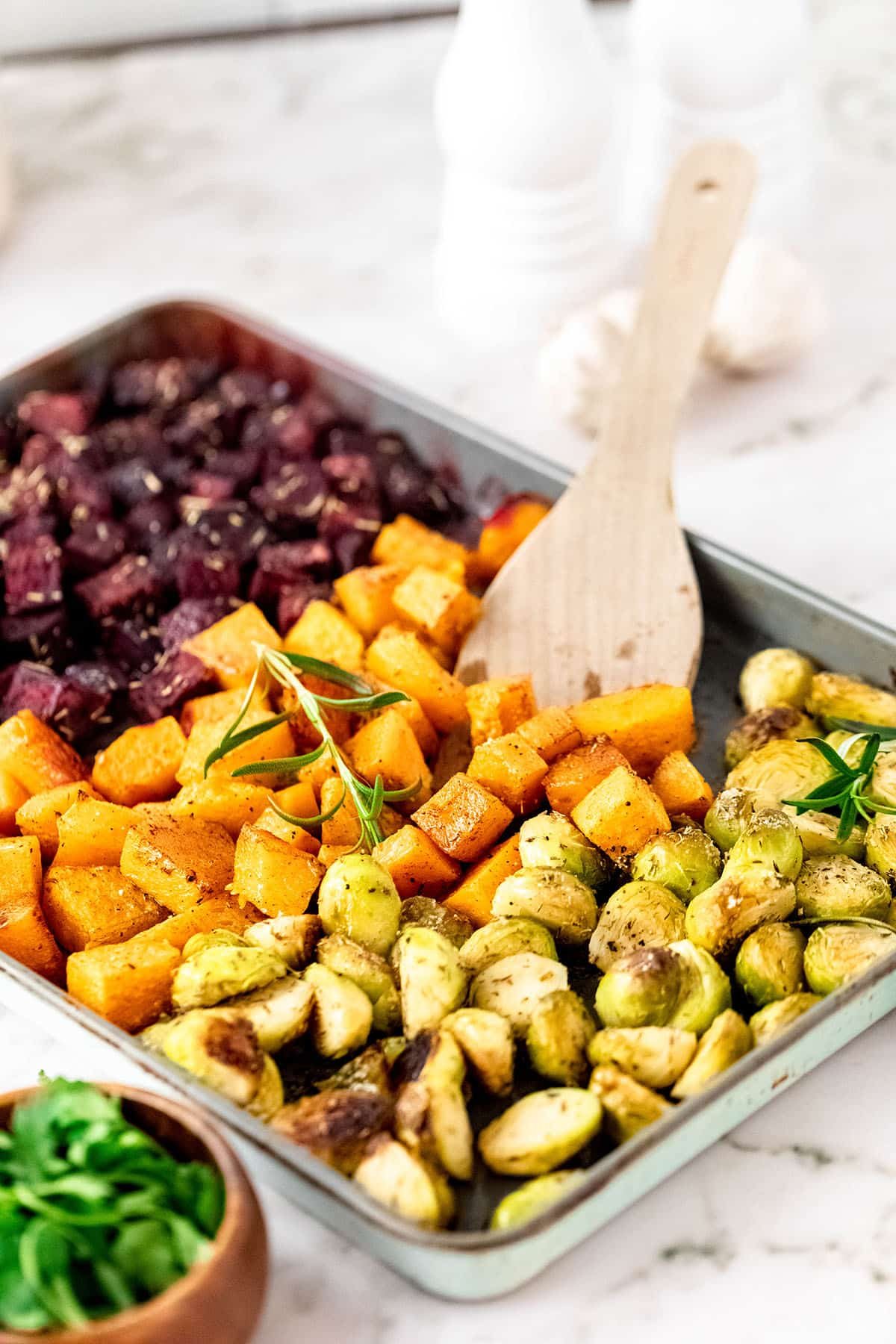 Roasted Fall Vegetables with Brussels Sprouts