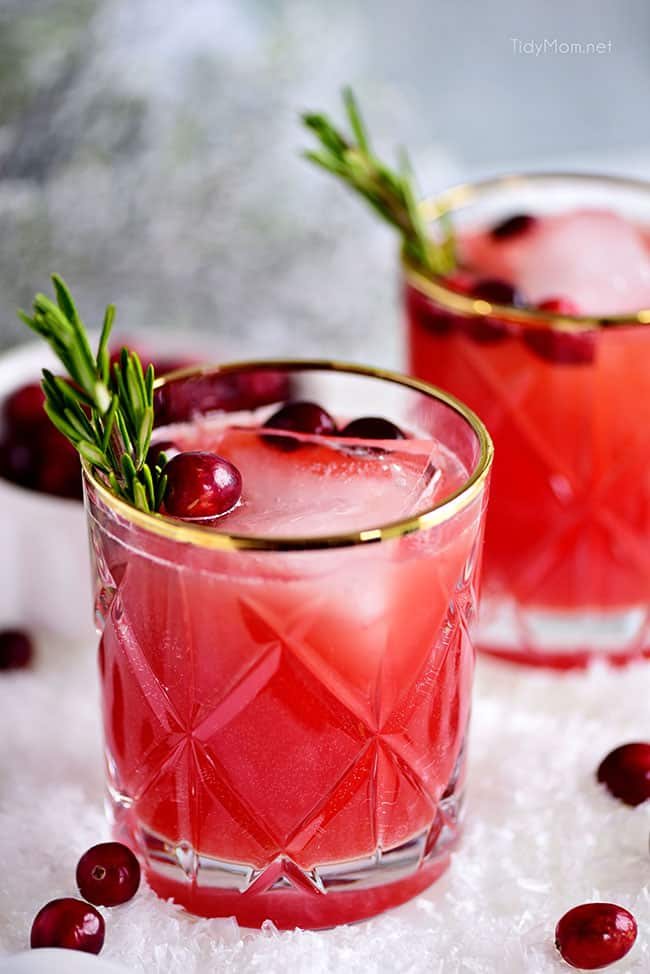 close up of RUDOLPH’S TIPSY SPRITZER