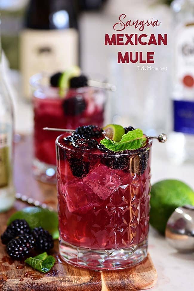 Sangria Mexican Mule Cocktail Recipe