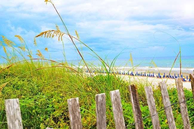 Scenic Gulf View at Seaside, Florida Learn more at cetcu.com