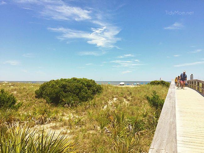 Tybee Island North Beach More Savannah Sightseeing at cetcu.com
