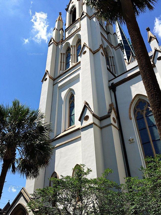 Cathedral of St. John the Baptist Savannah, GA. More Savannah Sightseeing at cetcu.com