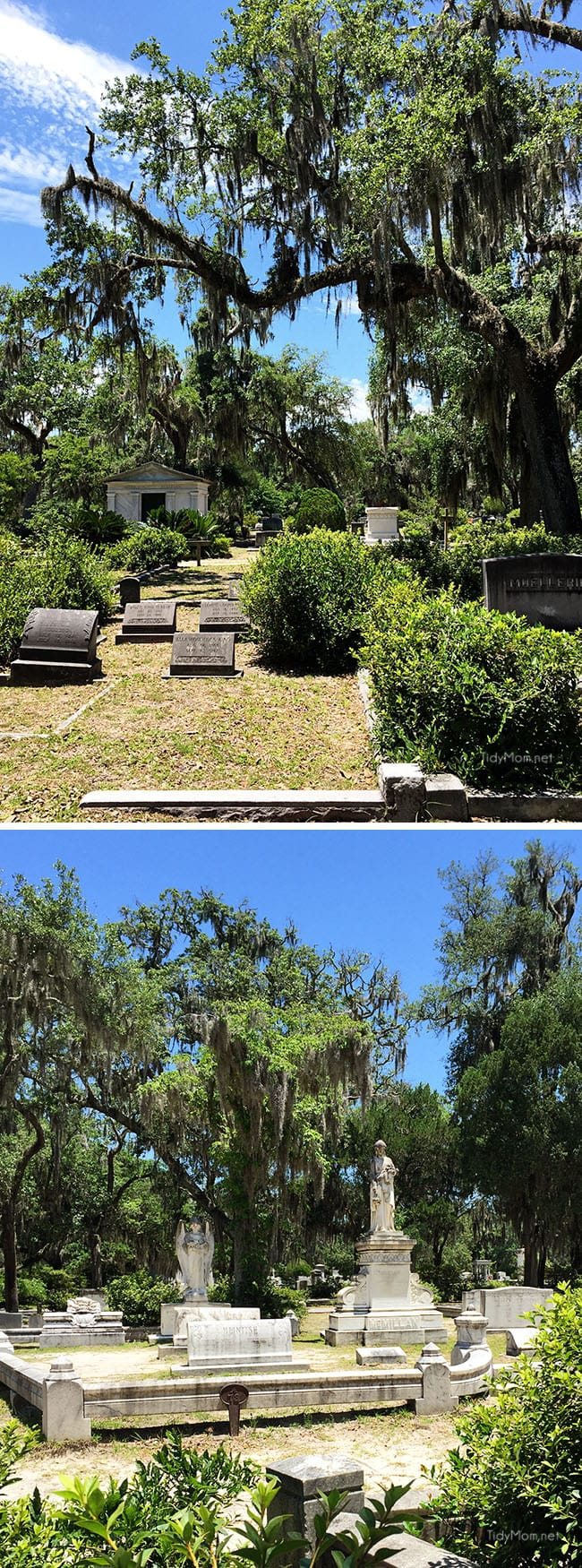 Hauntingly beautiful Bonaventure Cemetery Savannah, Georgia Featured on the cover of Midnight in the Garden of Good and Evil. More Savannah Sightseeing at cetcu.com