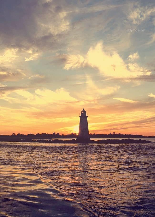 Tybee Island, Georgia | Captain Mike’s Sunset Dolphin Cruise. More Savannah Sightseeing at cetcu.com