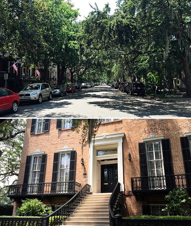 Spanish moss-lined, JONES STREET, SAVANNAH Georgia has the title of the most beautiful street in America. More Savannah Sightseeing at cetcu.com