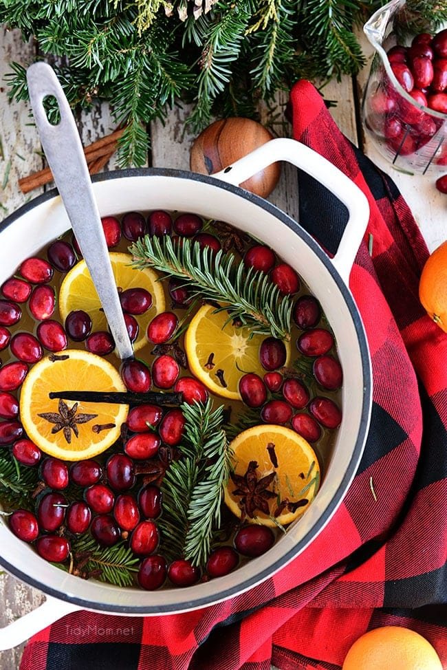 flat lay Simmering Christmas Potpourri