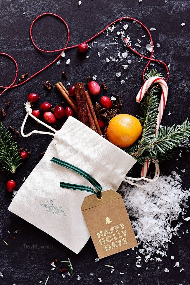 Simmering Christmas Potpourri gift idea