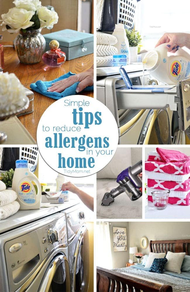Limit the effect allergens have on your family by utilizing these 6 simple tips to reduce allergens in your home without breaking the bank. at cetcu.com