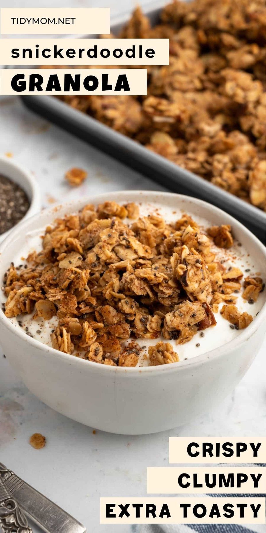 Snickerdoodle healthy granola recipe in a bowl with yogurt