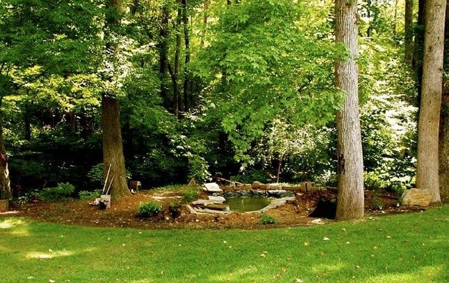 Turn a garden trouble spot into a koi pond oasis