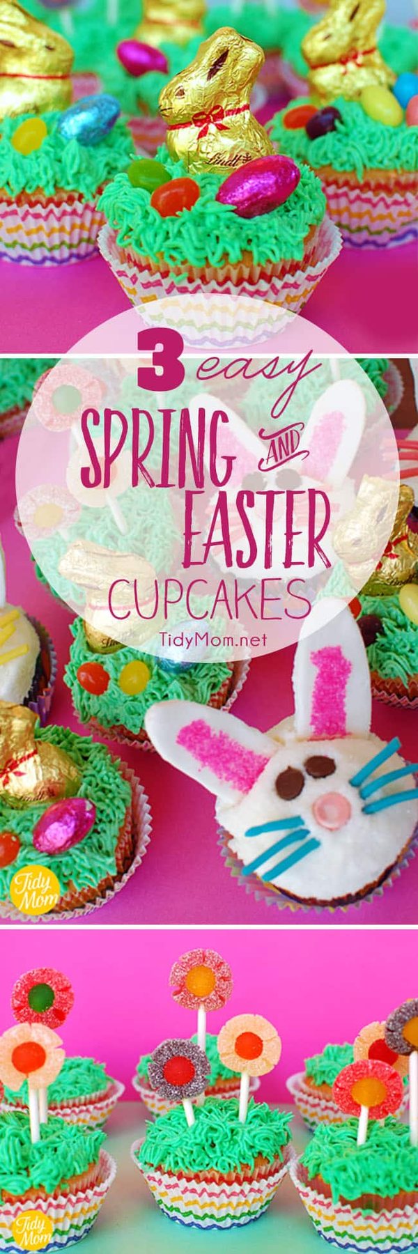 3 Easy Spring and Easter Cupcake ideas. Learn how to make all three at cetcu.com