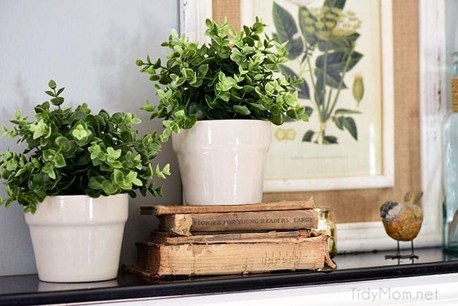 Transition to Spring Family Room Decor. Kick winter to the curb! Bring in the feel of freshness and spring to your home with lots of greenery, flowers and colorful pillows. See the full Spring Family Room Tour at cetcu.com