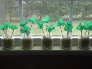 Crepe Paper Shamrock garden