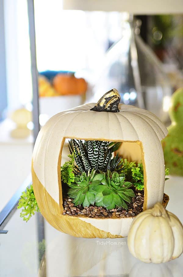 Easy & Elegant Succulent Pumpkin planter tutorial at cetcu.com
