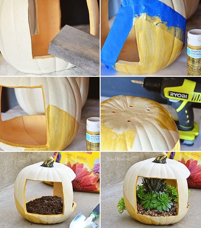 How to make a gold succulent pumpkin planter with succulents at cetcu.com
