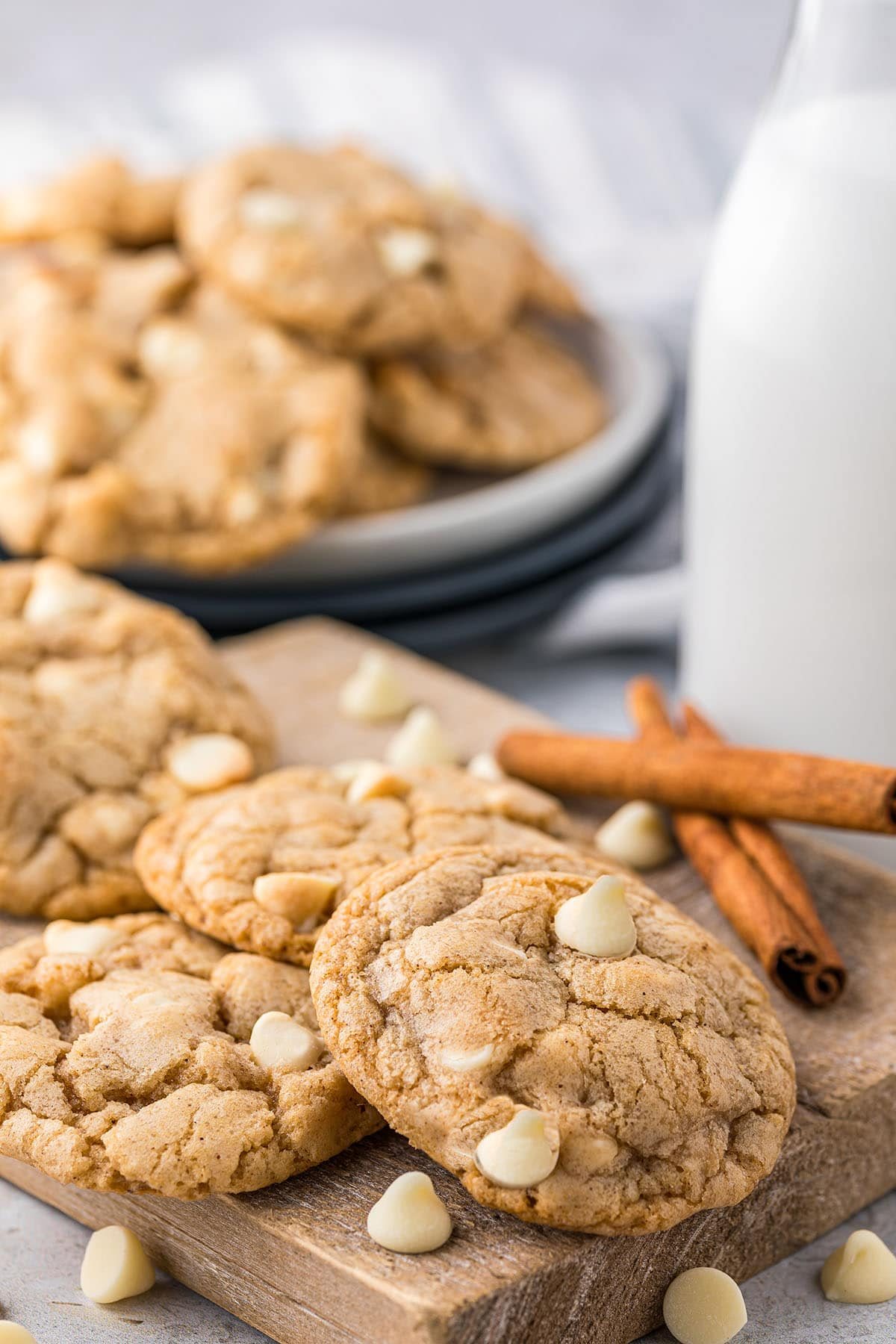 Sugar Doodles-Cinnamon Sugar Cookies