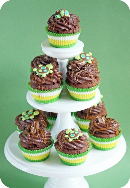 Turtle cupcakes