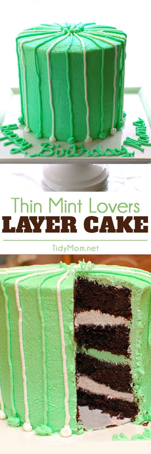 Thin Mint Cake i