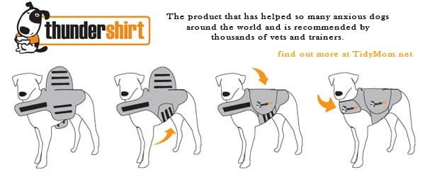 thundershirt fitting at cetcu.com