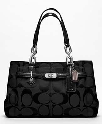 Coach bag