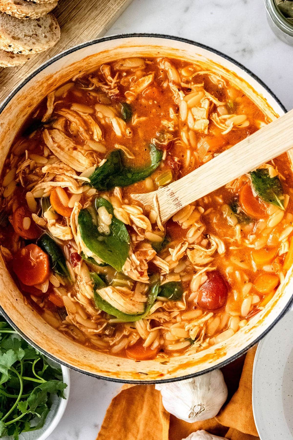 Creamy Tomato Turkey Orzo Soup Recipe