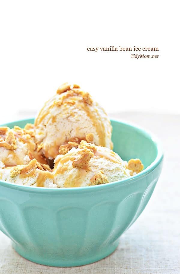 Easy Vanilla Bean Ice Cream recipe at cetcu.com