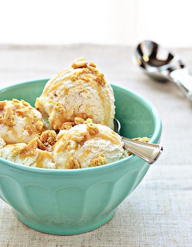 Vanilla Bean Ice Cream Recipe - Everyone should have a truly-easy and delicious no-cook vanilla ice cream recipe in their arsenal. Philadelphia style ice creams are quicker to make, don't involve any cooking, and have a heavy cream/milk mixture for the base. Print the full recipe for HOMEMADE VANILLA BEAN ICE CREAM at cetcu.com