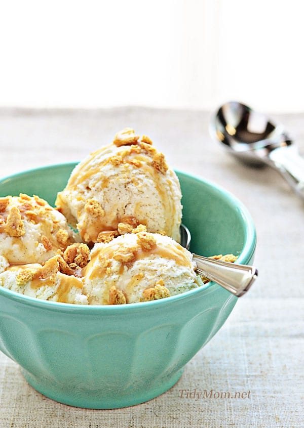 Easy Vanilla Bean Ice Cream Recipe – Philadelphia-Style