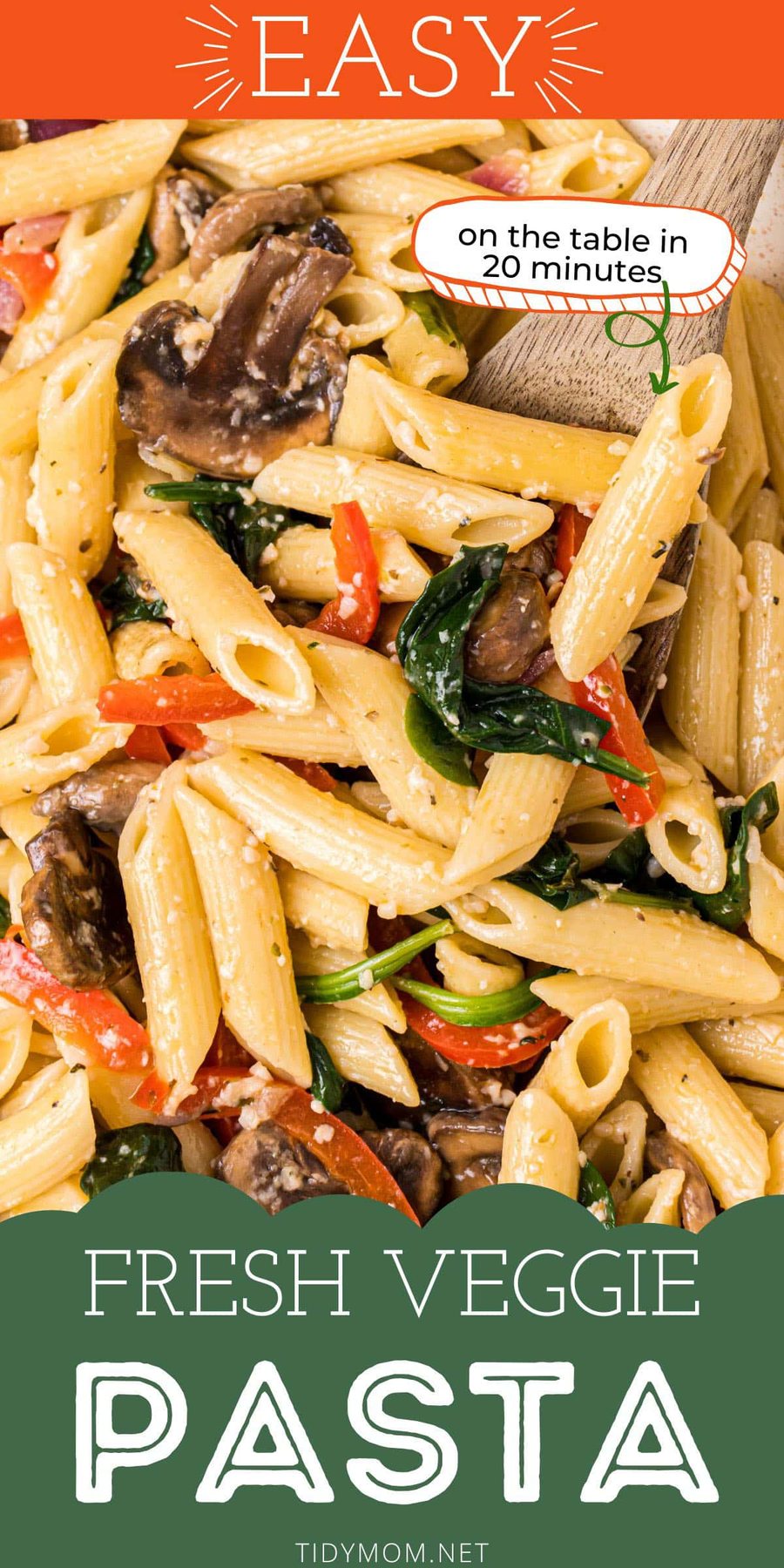 close up of pasta and cooked veggies