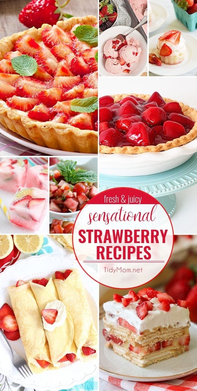 Celebrate the sweet taste of summer with these fresh and juicy SENSATIONAL STRAWBERRY RECIPES. From strawberry shortcake and strawberry pie to strawberry bruschetta and more! find all the strawberry recipes at cetcu.com