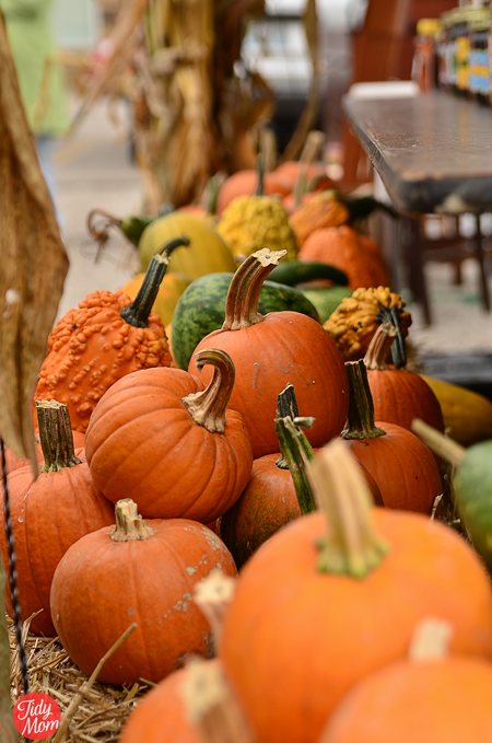 pumpkins