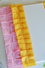 Spring Craft 11